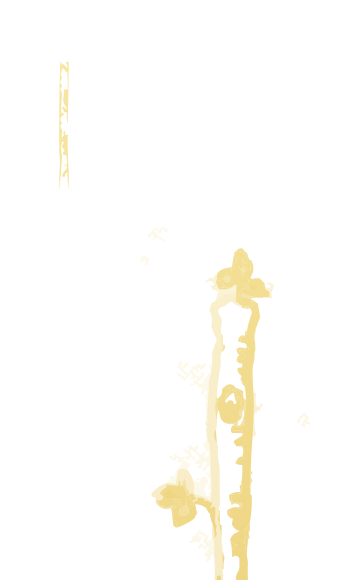 Three of Wands tarot card