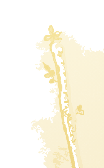 Five of Wands tarot card