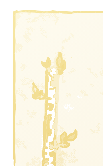 King of Wands tarot card